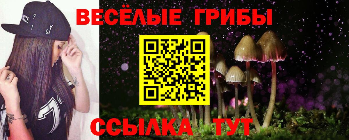 Саратов  Галлюциногенные грибы мицелий  Вход с VPN 